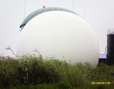 黑龍江肇慶大莊園沼氣工程項(xiàng)目